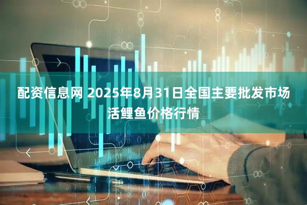 配资信息网 2025年8月31日全国主要批发市场活鲤鱼价格行情