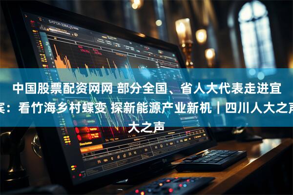 中国股票配资网网 部分全国、省人大代表走进宜宾：看竹海乡村蝶变 探新能源产业新机｜四川人大之声